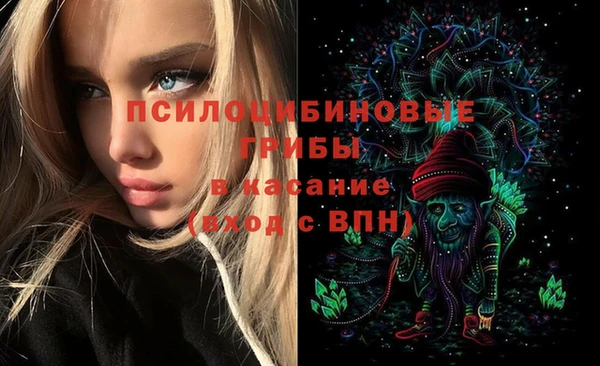 прущие крисы Алексеевка