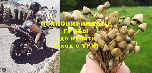 стаф Алексин