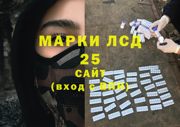 стаф Алексин
