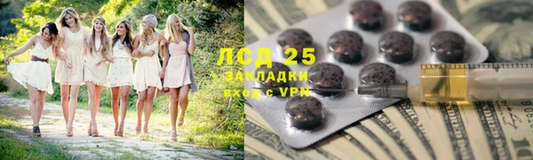стаф Алексин