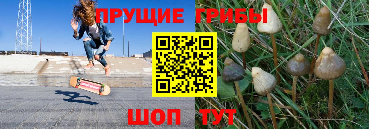Карасук  Галлюциногенные грибы GOLDEN TEACHER  Псилоцибиновые грибы Cubensis  Вход с VPN 